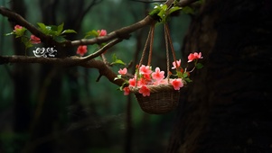 森林小小花篮