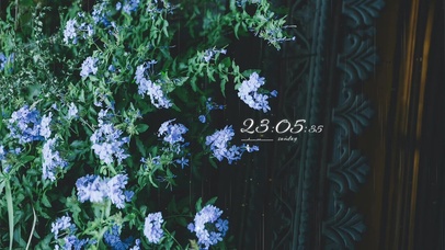 治愈清新雨天绿夜鲜花