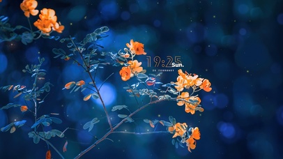 4K唯美治愈护眼夜晚花朵