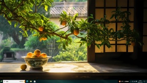 窗前橘子树