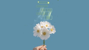 8k 人间真爱小雏菊