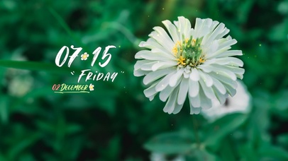 4k清新花草桌面