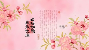 昭昭如愿