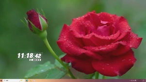 护眼花朵桌面主题