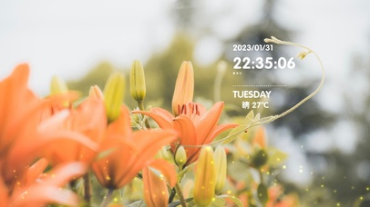 4k高清阳光花草风景