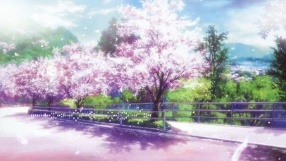 花的物语——漫天樱花