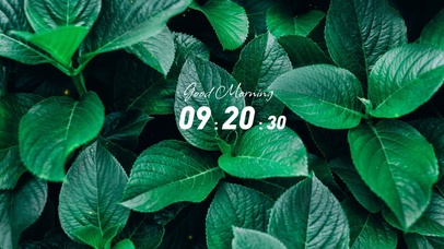 高级4k清新绿壁纸