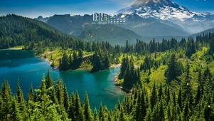 绿色护眼山谷