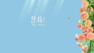 温暖阳光花卉桌面