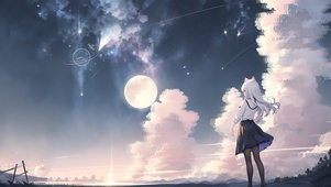 夜空白发猫娘