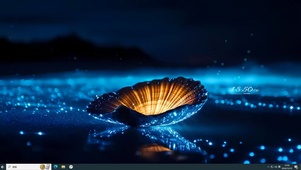 海边贝壳