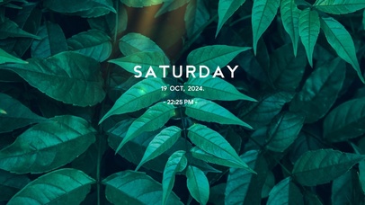 4k简约护眼植物电脑壁纸