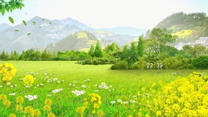 春天花卉草地