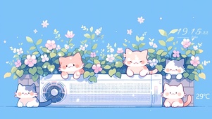空调上的猫咪