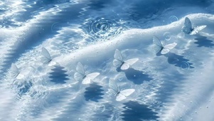 蝴蝶跃水  壁纸