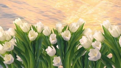 油画质感郁金香