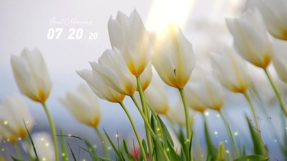 4k高清唯美系列