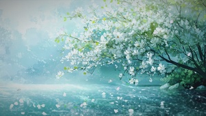 樱澜