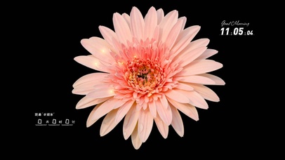 简约高级系壁纸