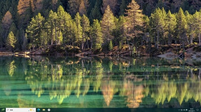 平静树影—【主题桌面】