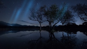 寂静繁星