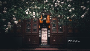 4k春天门前的绣球花