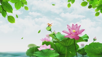 中国风水墨荷塘