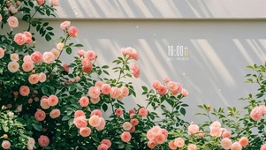 唯美治愈意境壁纸