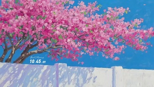 粉色花瓣飘落