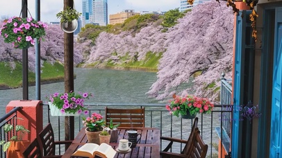 舒适治愈湖边咖啡厅