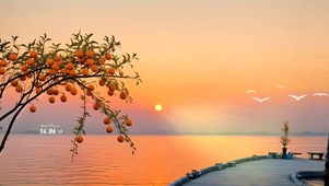夕阳美景