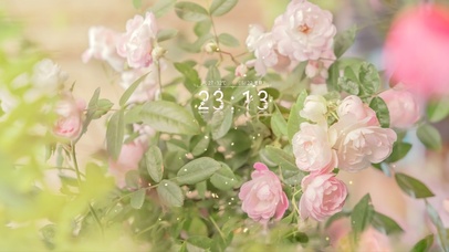 唯美夏日清新治愈蔷薇花