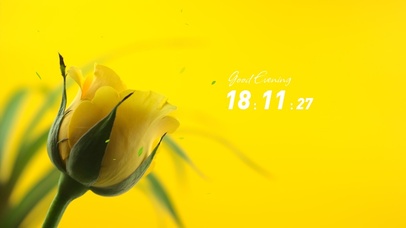 4k高清唯美花系列