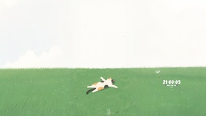 享受大自然的睡觉小猫～