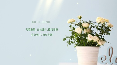 小清新简约花草桌面