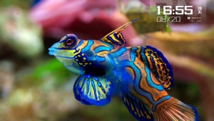碧蓝生物