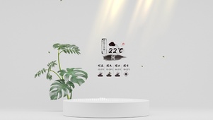4k清新绿植简约桌面