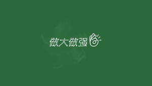 做大做强