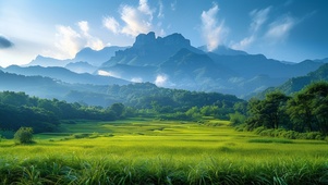 稻田远山