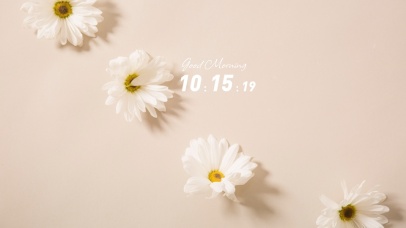 4k高清简约小清新系列