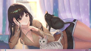 夏日撸猫