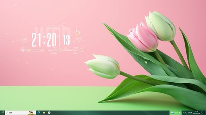 小清新郁金香花束