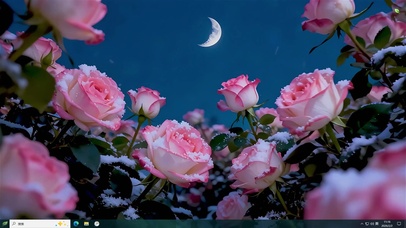 浪漫雪夜玫瑰主题