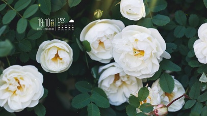 4k唯美风景桌面