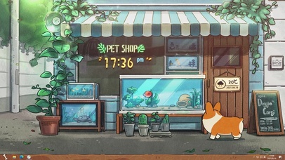 路过宠物店的小柯基