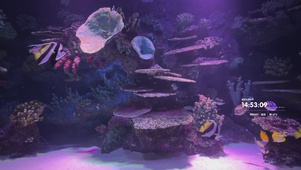 海洋世界