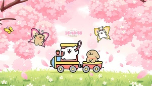 一起看樱花