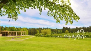 走出去，你就能拥有春天