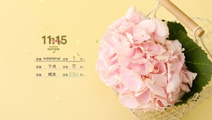 简约系清新壁纸
