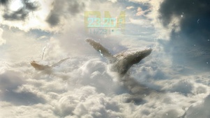 鲸鲲穿越云层